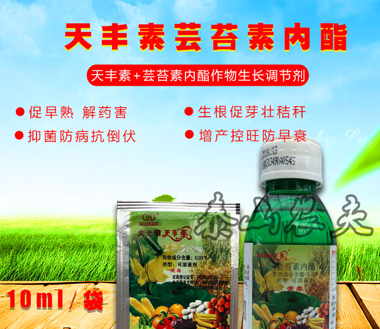 大光明天丰素芸苔素内酯00124表芸三表芸增产增收生长调节剂10ml