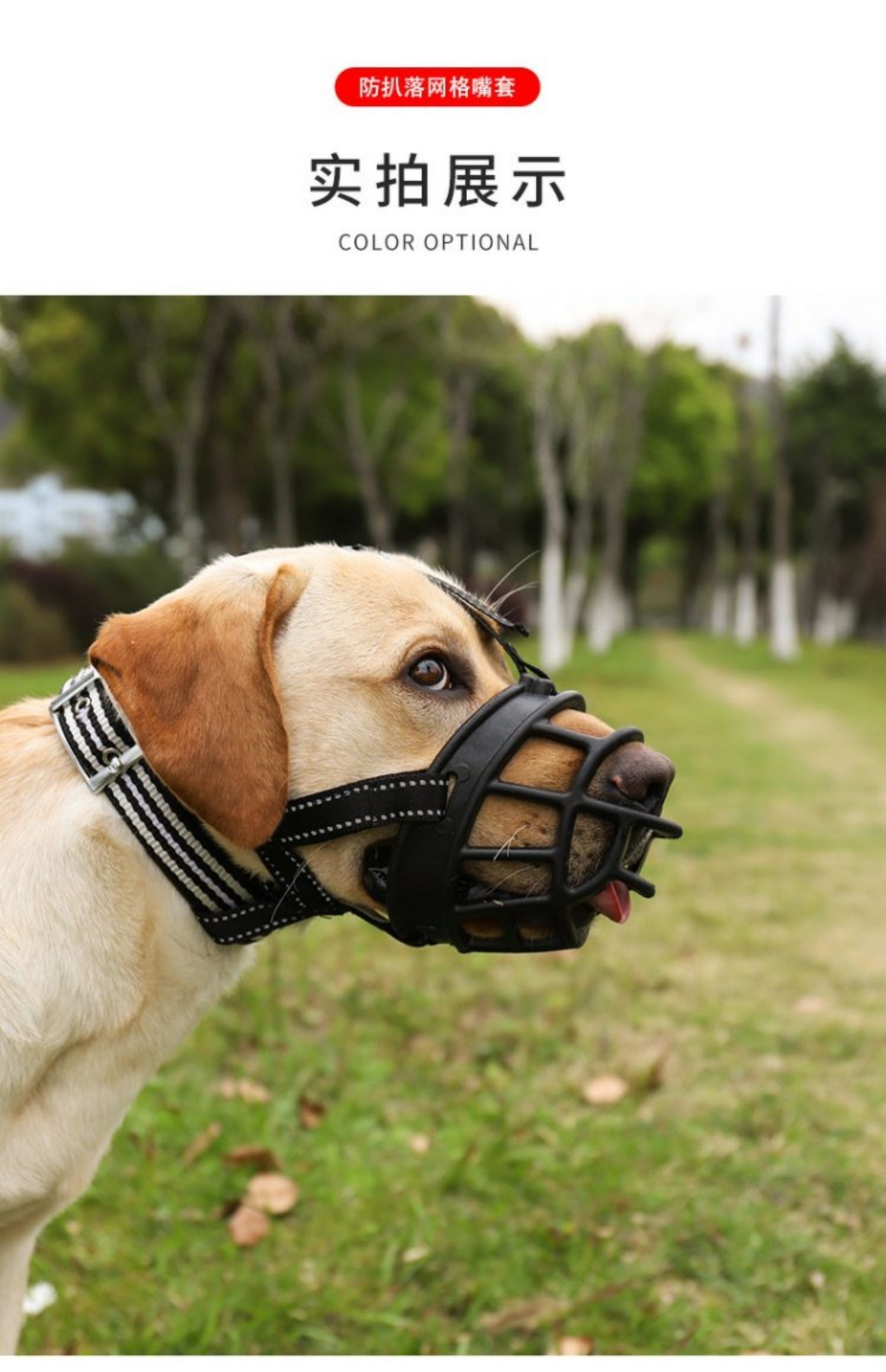 泰瑞格 硅胶中大型犬狗狗嘴套嘴罩防咬叫口笼狗宠物拉布拉多马犬金毛