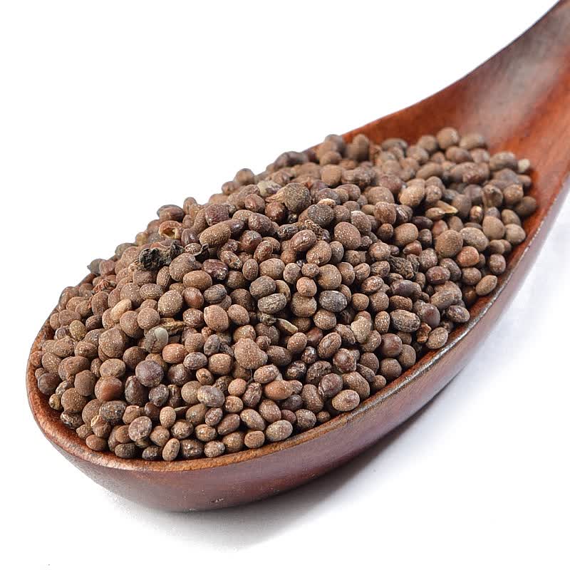 同仁堂急性子500克g中药凤仙花子指甲花子指甲花籽凤仙子中药材店铺