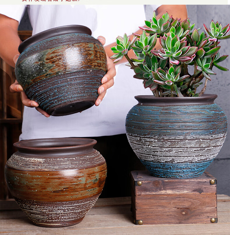 大口径陶瓷紫砂简约多肉植物老桩绿萝花盆 dl-05 大【图片 价格 品牌