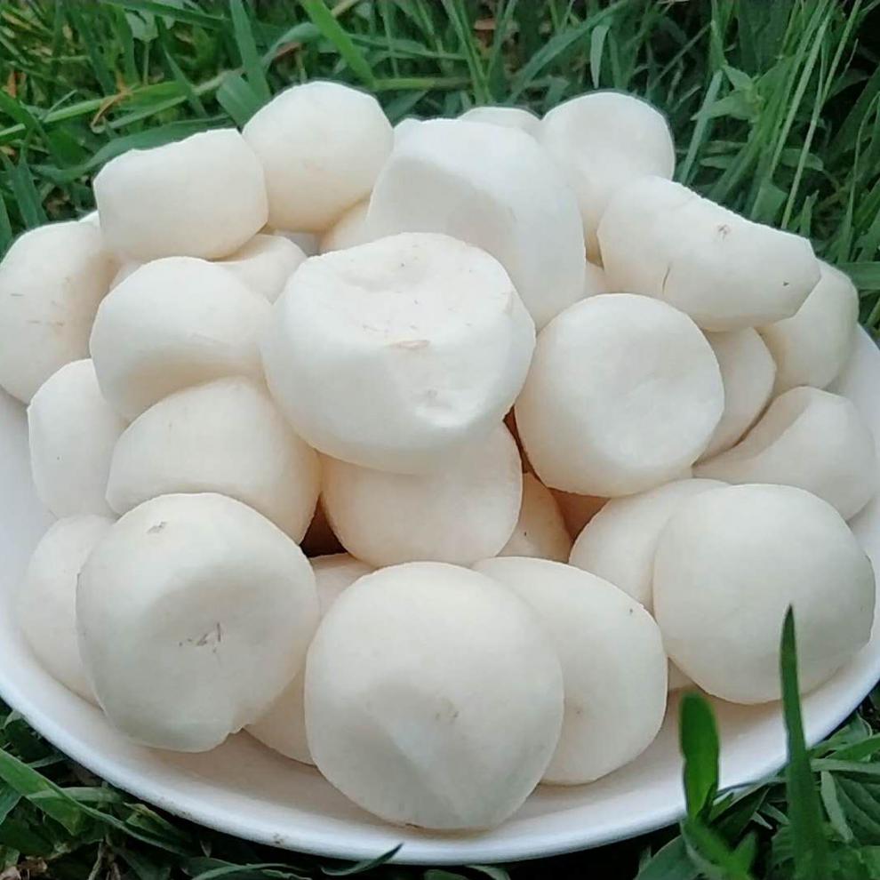 广西荔浦马蹄荸荠新鲜农家特产珍珠马蹄莲当季水果2500g去皮马蹄