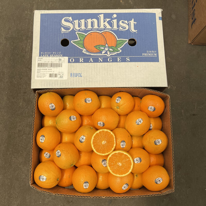 味蕾乐 新货澳洲进口新奇士黑标3107橙子10只装脐橙味甜多汁农产品