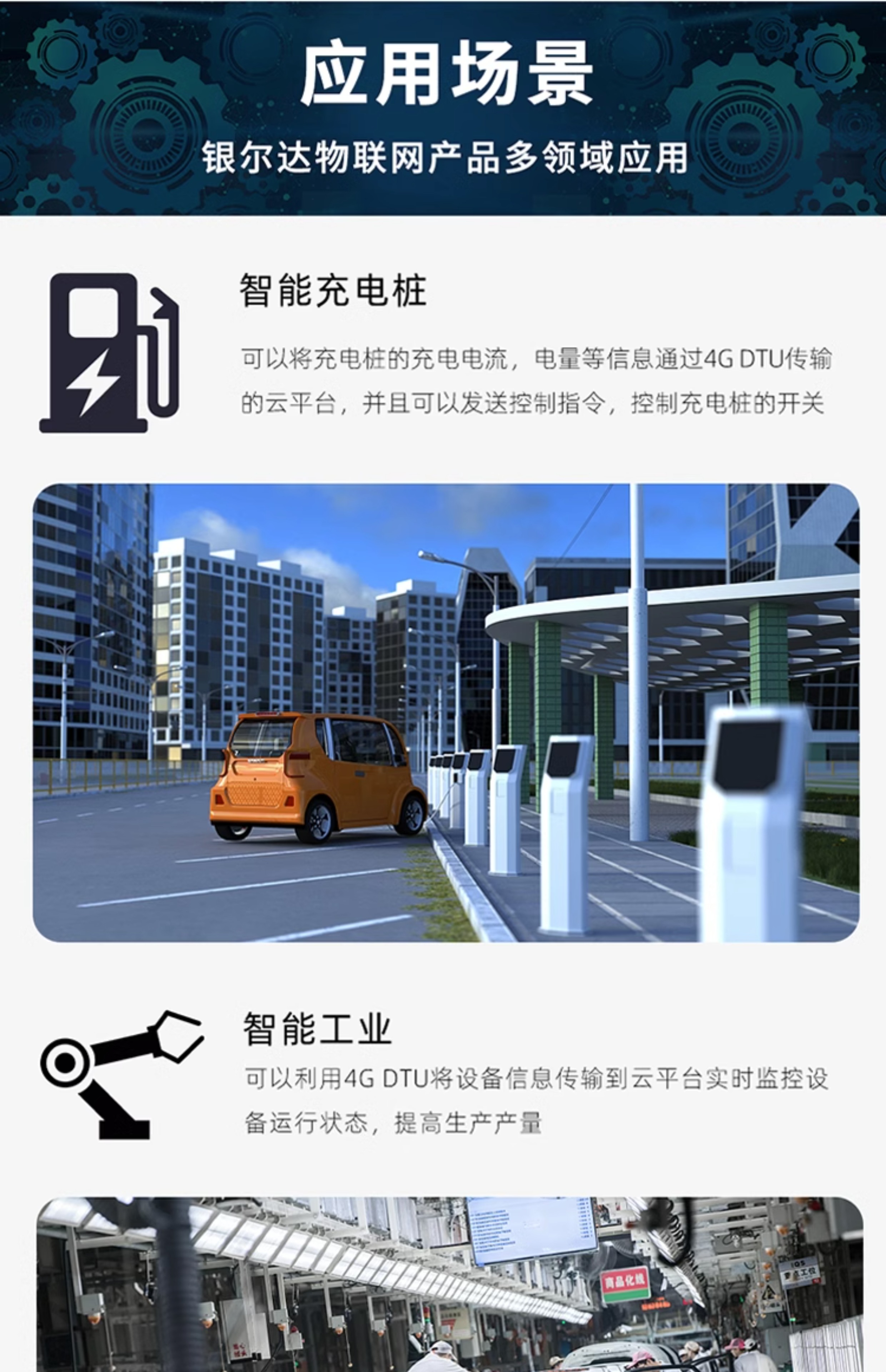 dbe03c3c3edb849b.jpg