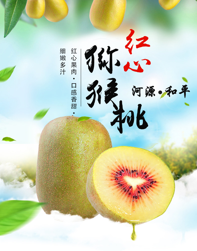 和平猕猴桃广东河源特产奇异果新鲜红阳红心水果 8斤单果90-110g