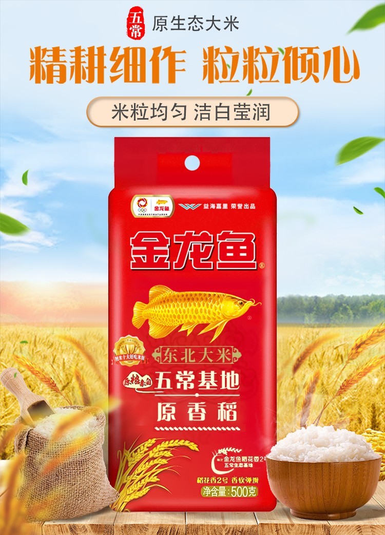 金龙鱼东北大米五常基地原香稻粳米原粮东北大米员工福利年货常备5kg1