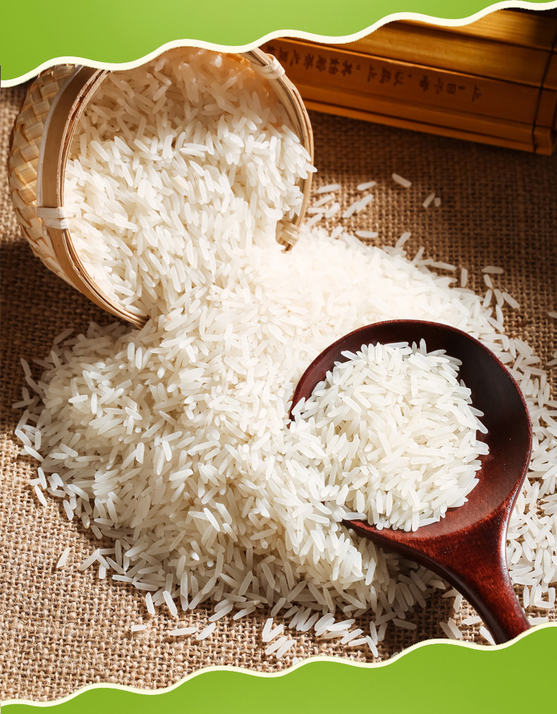 当季新米优质农家自产大米5kg10斤京山米长粒香贡米不抛光丝苗米