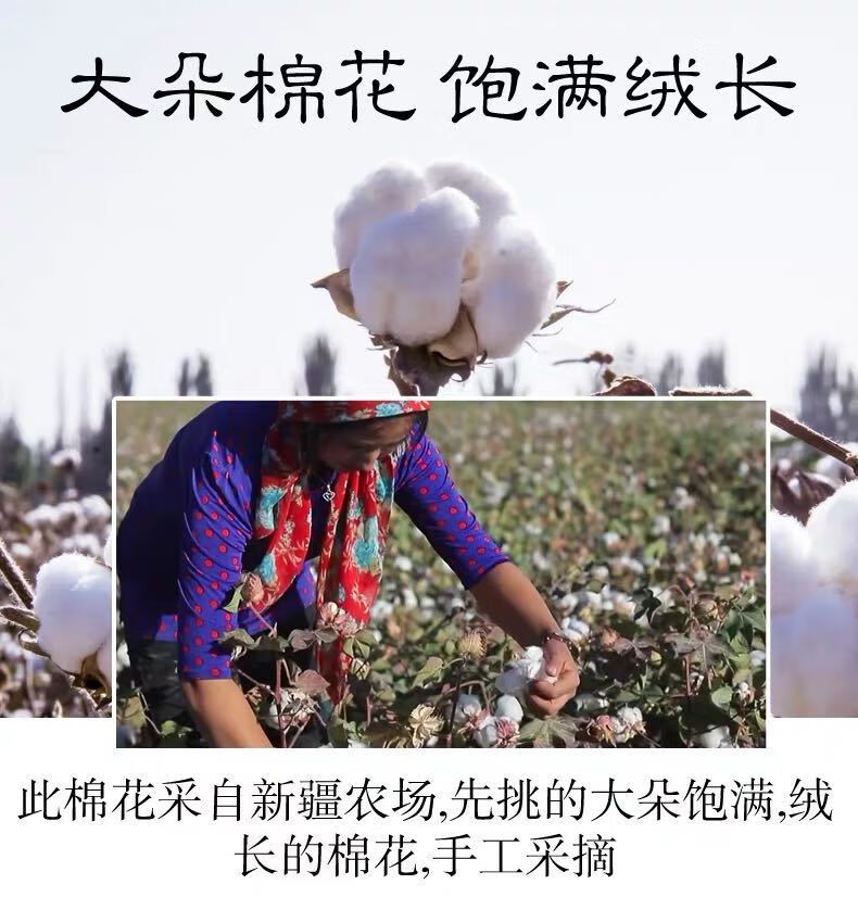 新疆棉花散装一级长绒棉精梳棉皮棉絮婴儿棉花棉被枕头填充物新疆一级