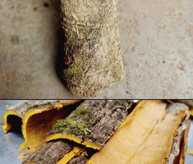 有仁堂贵州中药材黄柏 农家关川黄白皮老树500g【优选】 图片色【图片