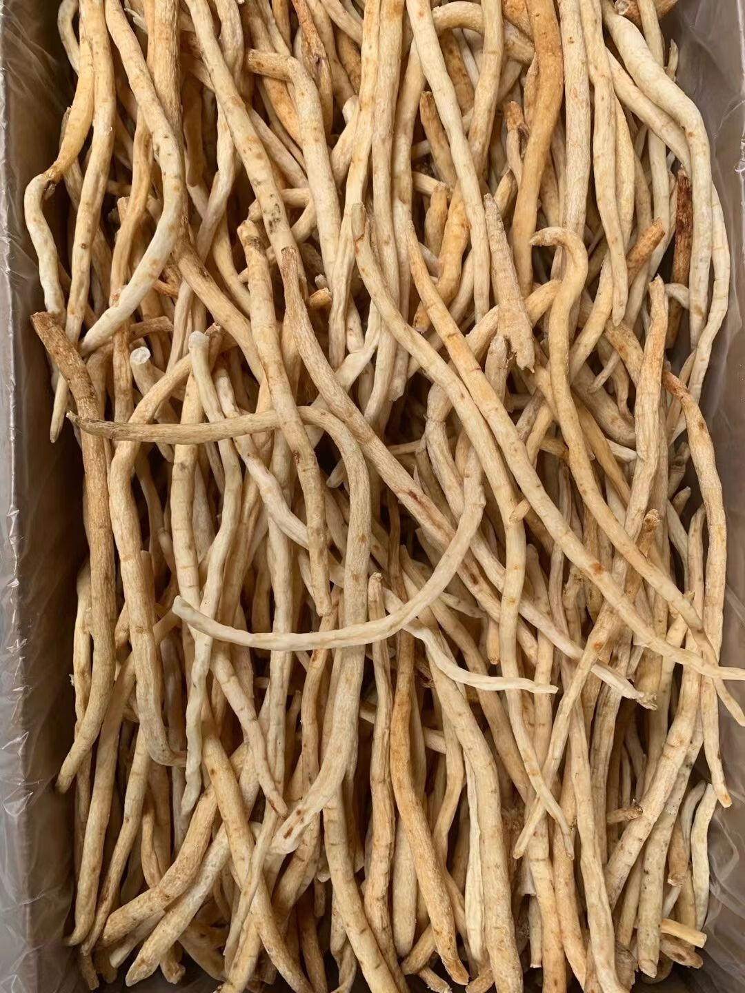 有仁堂四川明沙参批实发干沙参四川特产南沙参北沙参中药材滋补炖料