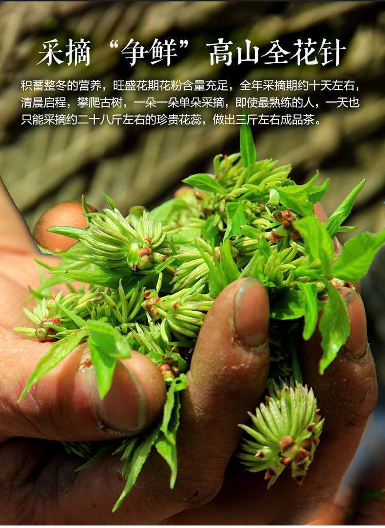 杜仲雄花茶張家界正宗古樹花蕊花粉多杜仲雄花茶純野生杜仲茶泡水喝的