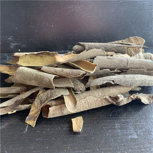 有仁堂广西新品深山中药材救必应博皮龙胆木皮精选自然树皮自晒年货