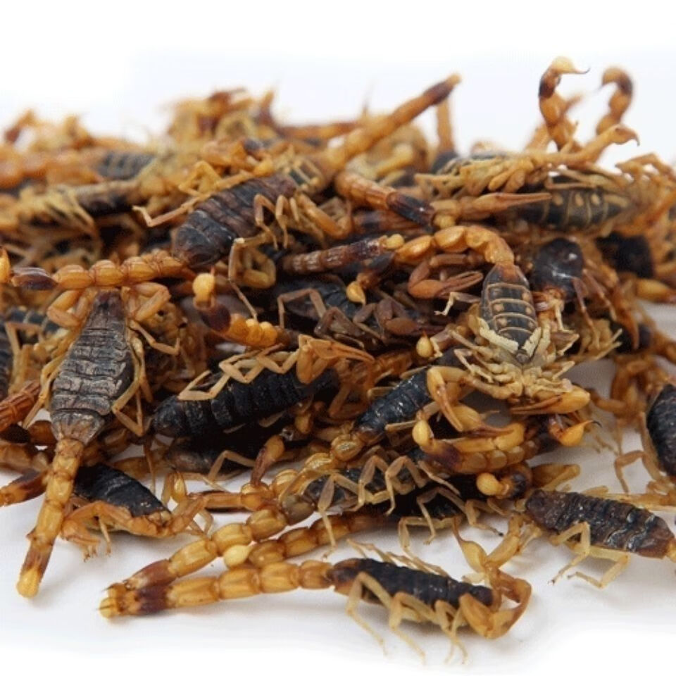 有仁堂中药材清水 全虫药用蝎子 泡酒 纯干无盐蜈蚣