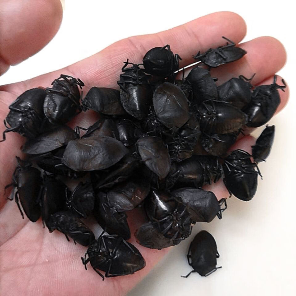 伟博 中药材实体店九香虫清水小九香虫打屁虫 正品九香虫100克【图片