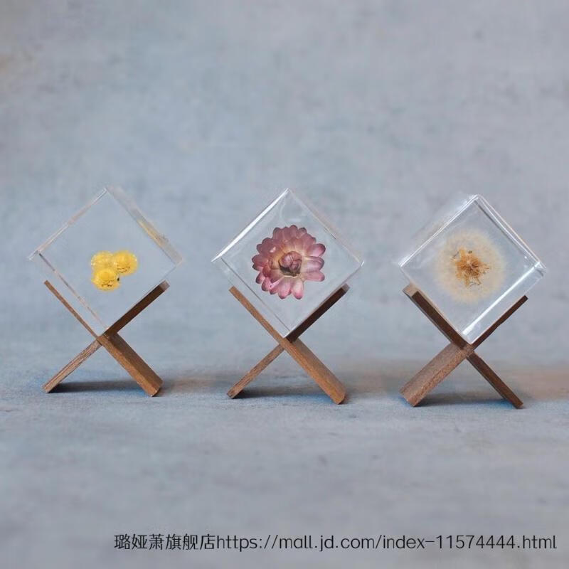 2022新款植物标本树脂日本宙solacube永生花桌面摆件送女朋友礼物情人