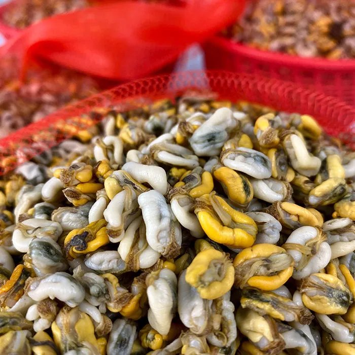 潮汕特产 肌蛤薄壳米 打捞当季 贝类薄壳肉 海鲜瓜子 免洗即吃 薄壳 2