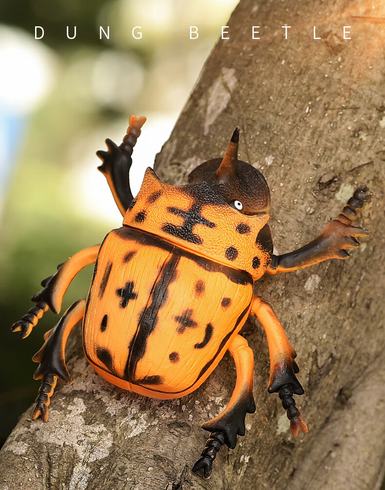 大号软塑胶昆虫玩具套装仿真动物蜜蜂蜘蛛屎壳郎模型儿童早教认知