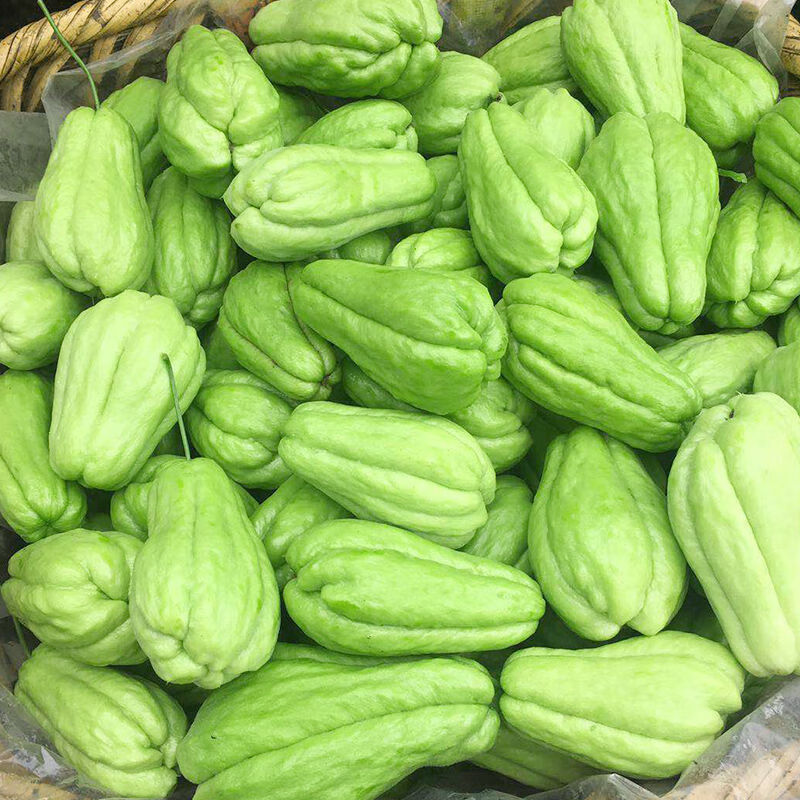 云南佛手瓜新鲜10斤整箱洋瓜寿瓜丰收瓜窝瓜丝瓜新鲜蔬菜100g批发100g