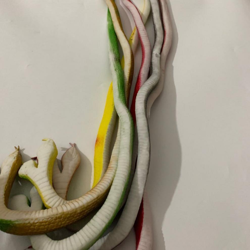 双头眼镜蛇玩具大号橡胶蛇70厘米创意整蛊恶搞吓人仿真软胶假蛇儿童