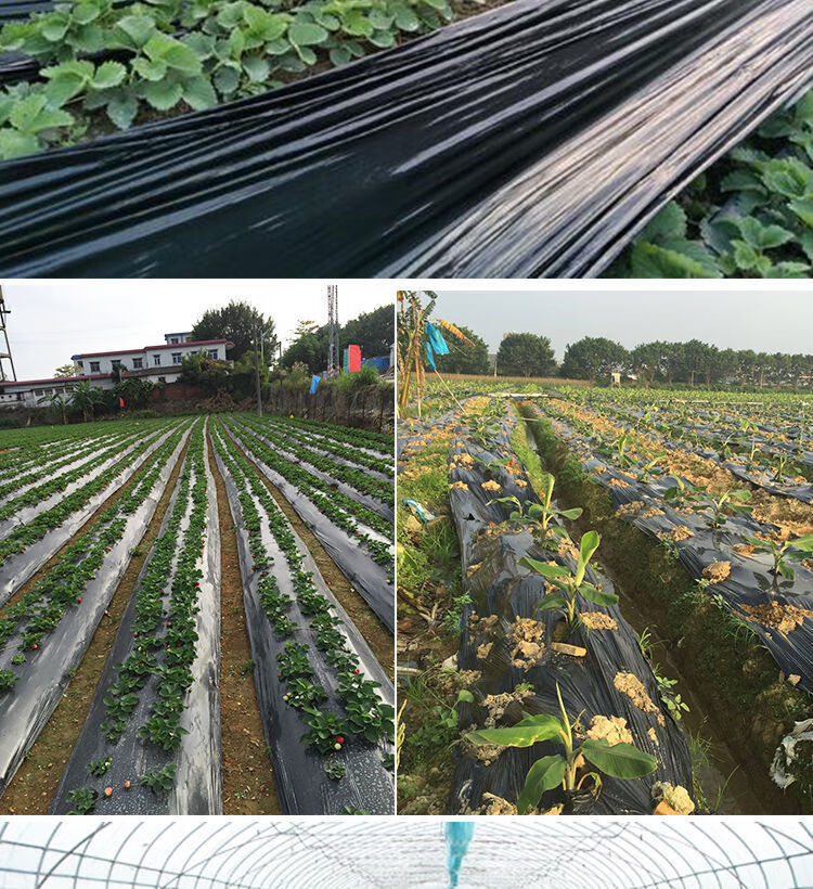 精选农用种植加厚抗老化黑地膜塑料薄膜除草保温保湿防草大棚果树苗木