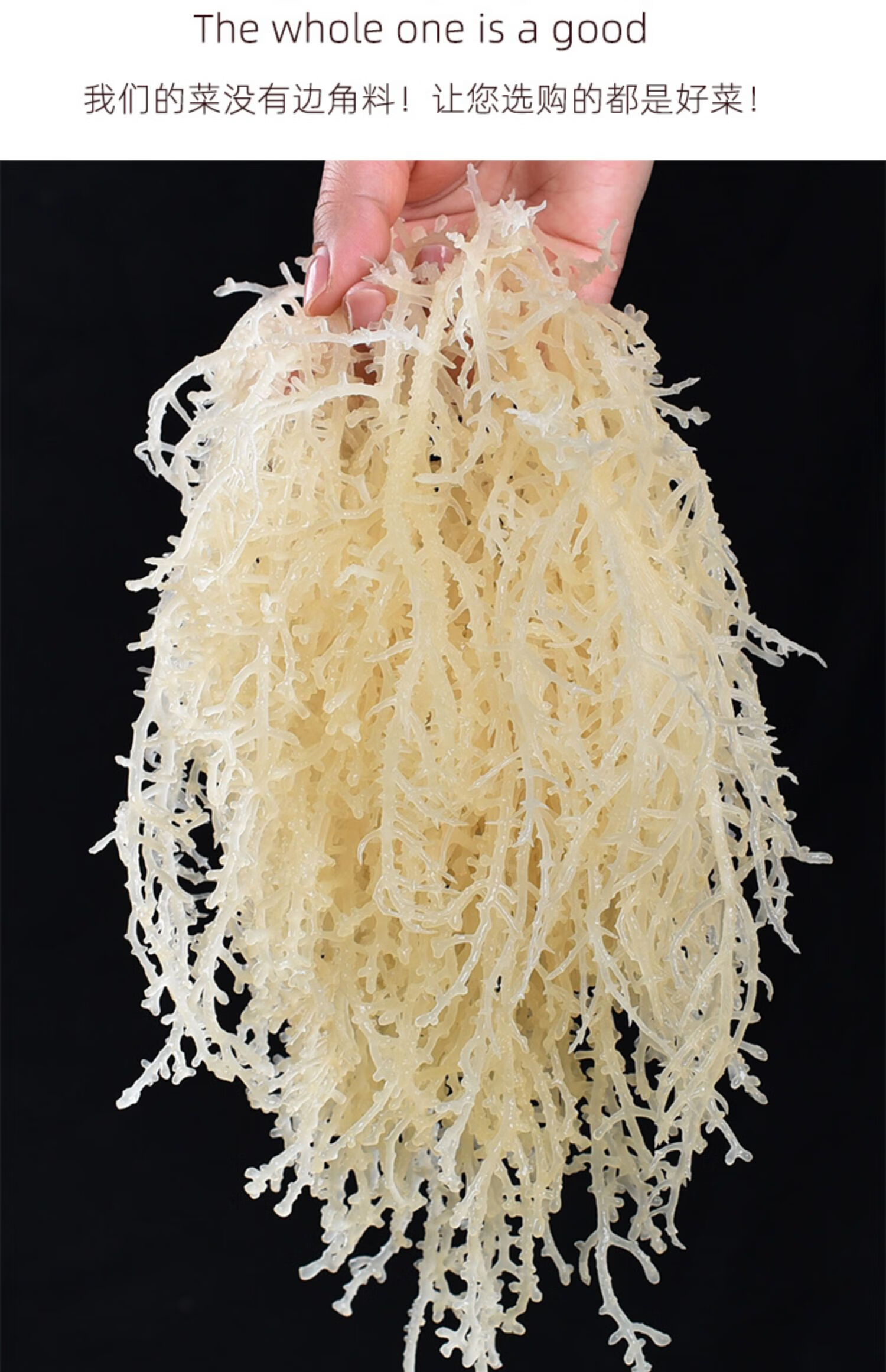 龙须菜500克石花菜海石花海草海藻鹿角菜海发菜干裙带菜凉拌货格力高