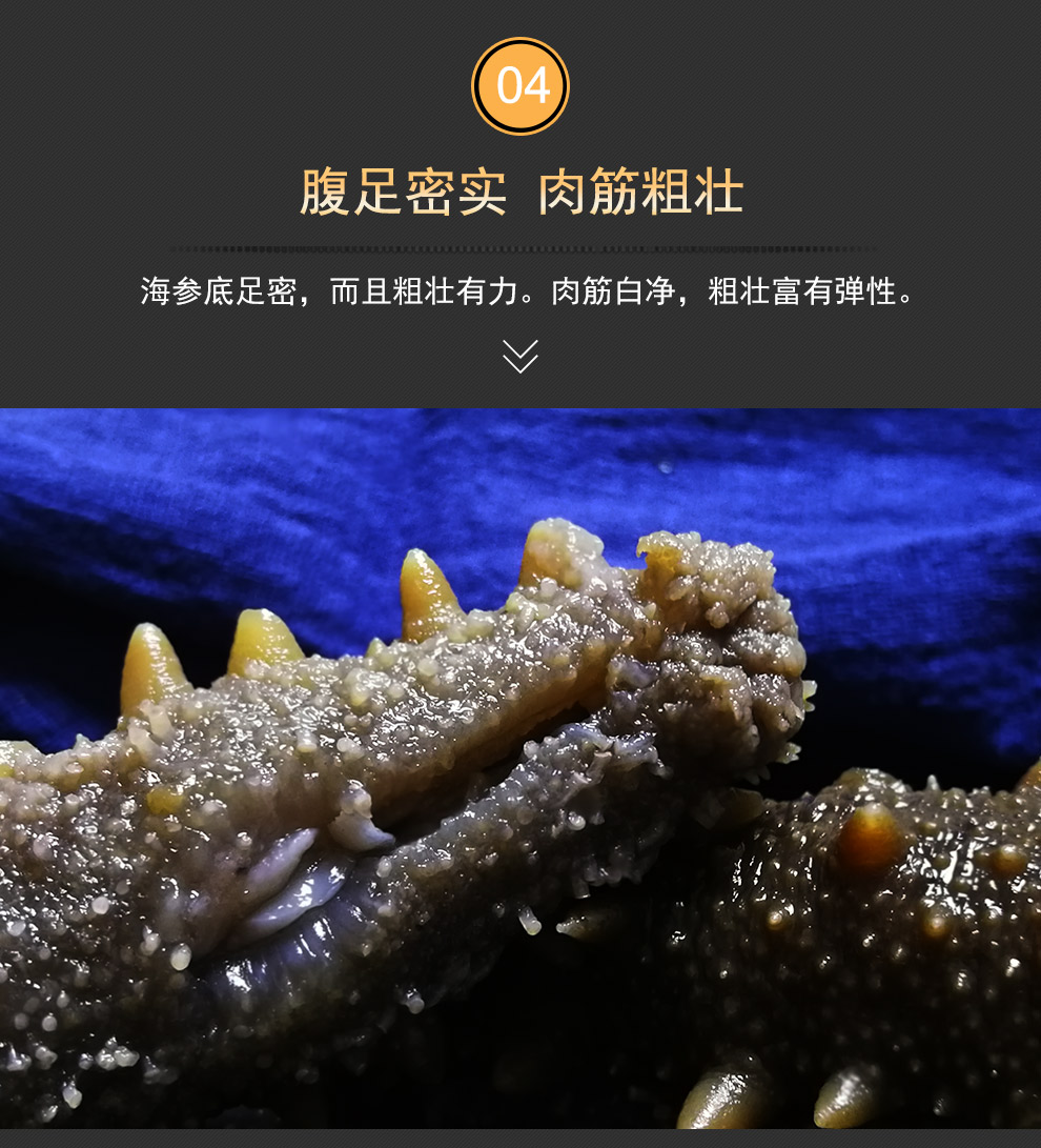 昊海升大连冷蒸鲜食即食海参礼盒单个装冷冻蒸食辽参辽刺参500g46只