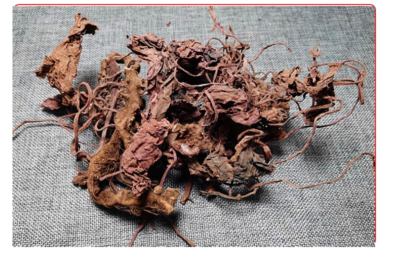 山间谷草正宗甄选红天葵500g紫背天葵散血子红水葵非呒野生中药材