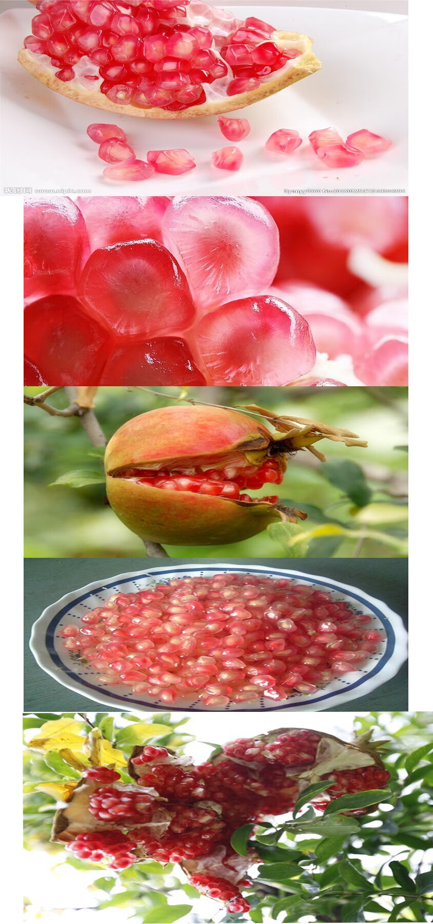 媚调新鲜现摘山东枣庄特产峄城软籽大马牙特大甜石榴水果 10斤 软籽大