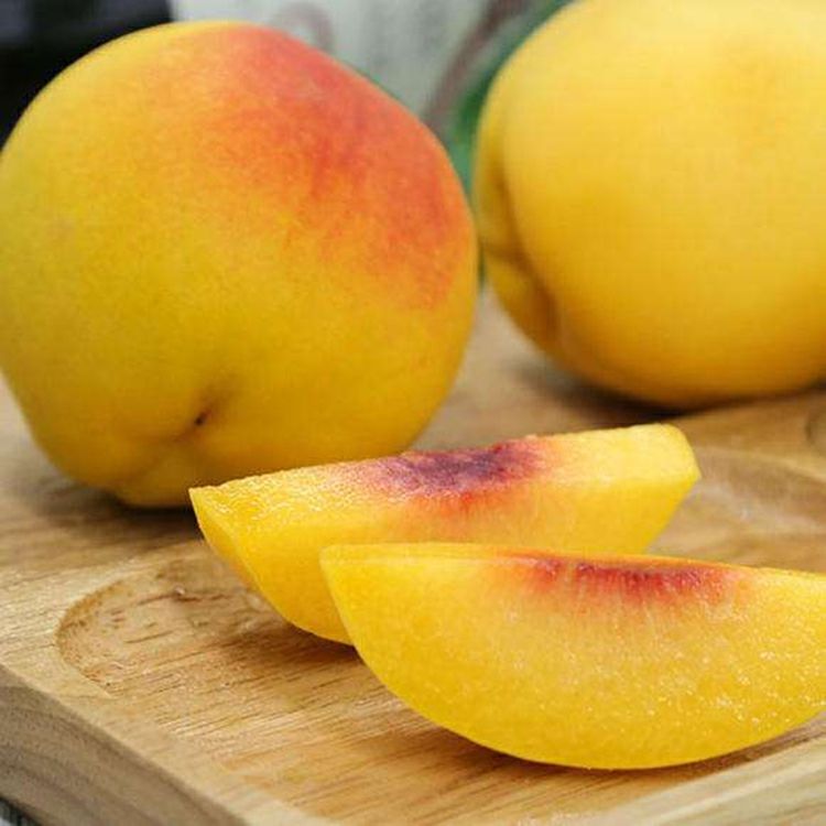 正宗嘉善姚庄锦绣黄桃水果新鲜桃子现摘现发应季孕妇水果10斤 4800g