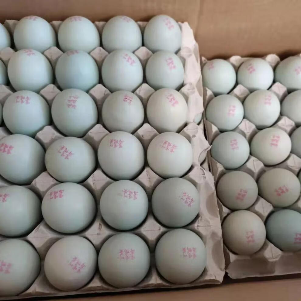 fghgf 嘎嘎叫海鸭蛋 起沙油70g大蛋口感适中鲜香不咸 10枚 优选20枚