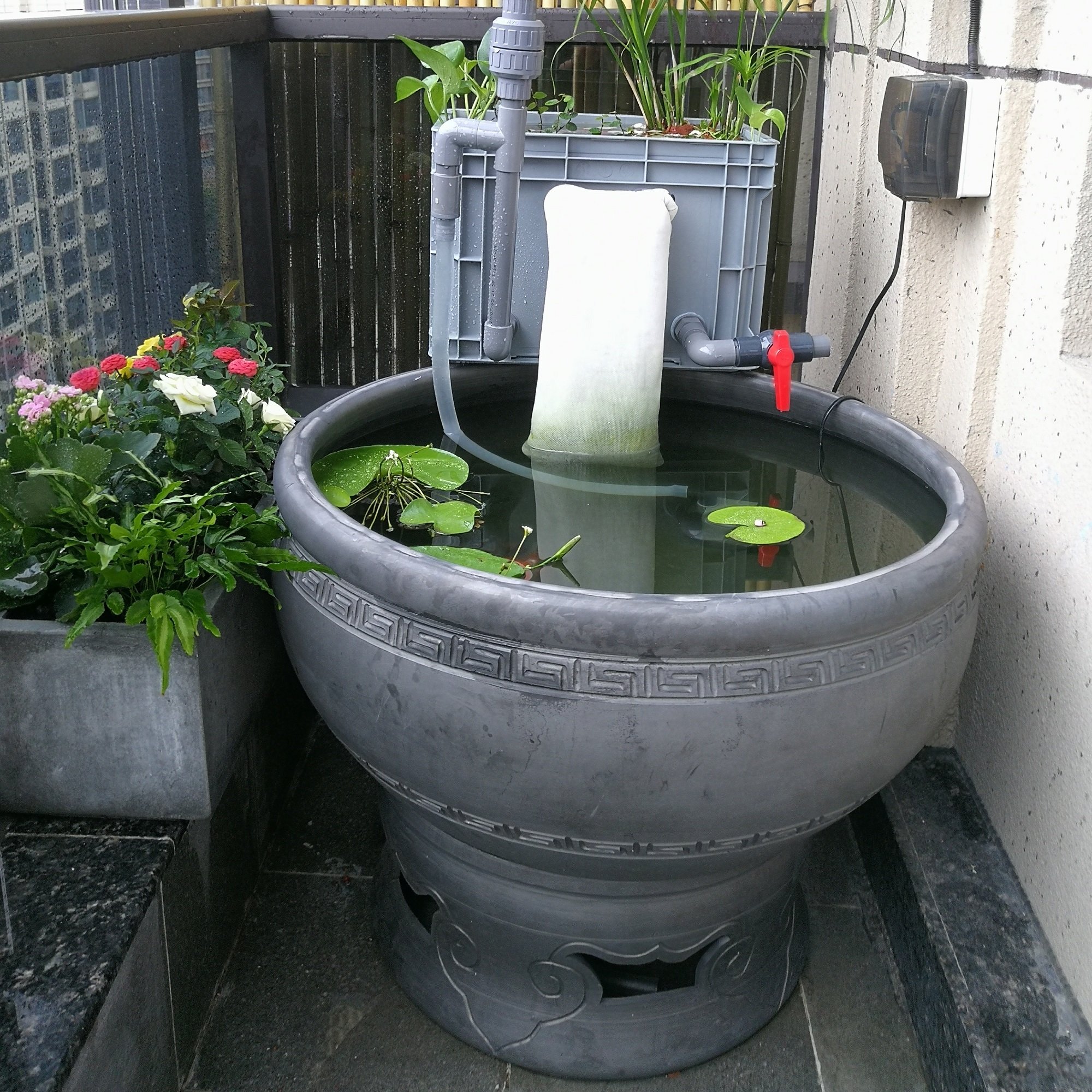 老北京鱼盆客厅造景养金鱼鱼缸陶瓷泥盆瓦盆鱼缸荷花缸庭院特大号