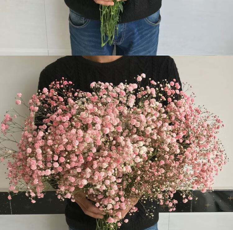 荞麦花干花鬼怪同款花束送人闺蜜餐厅客厅摆设真花装饰简约 j36-k