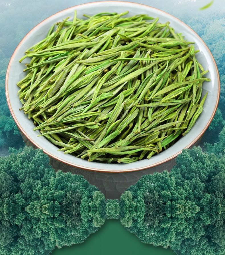2021今年新茶正宗安吉高山白茶特级清香型浓绿茶高档嫩茶芽叶 特.