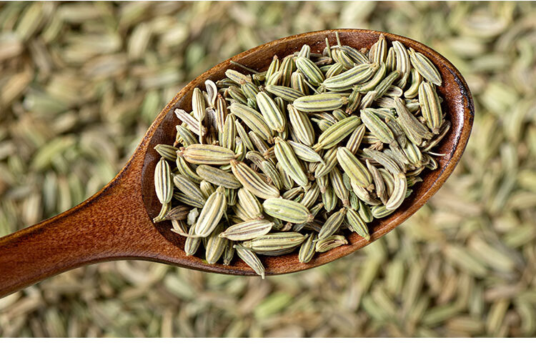 中药材小茴香 小茴香籽 小茴何 香猪肚汤山区收购新货500克 500g