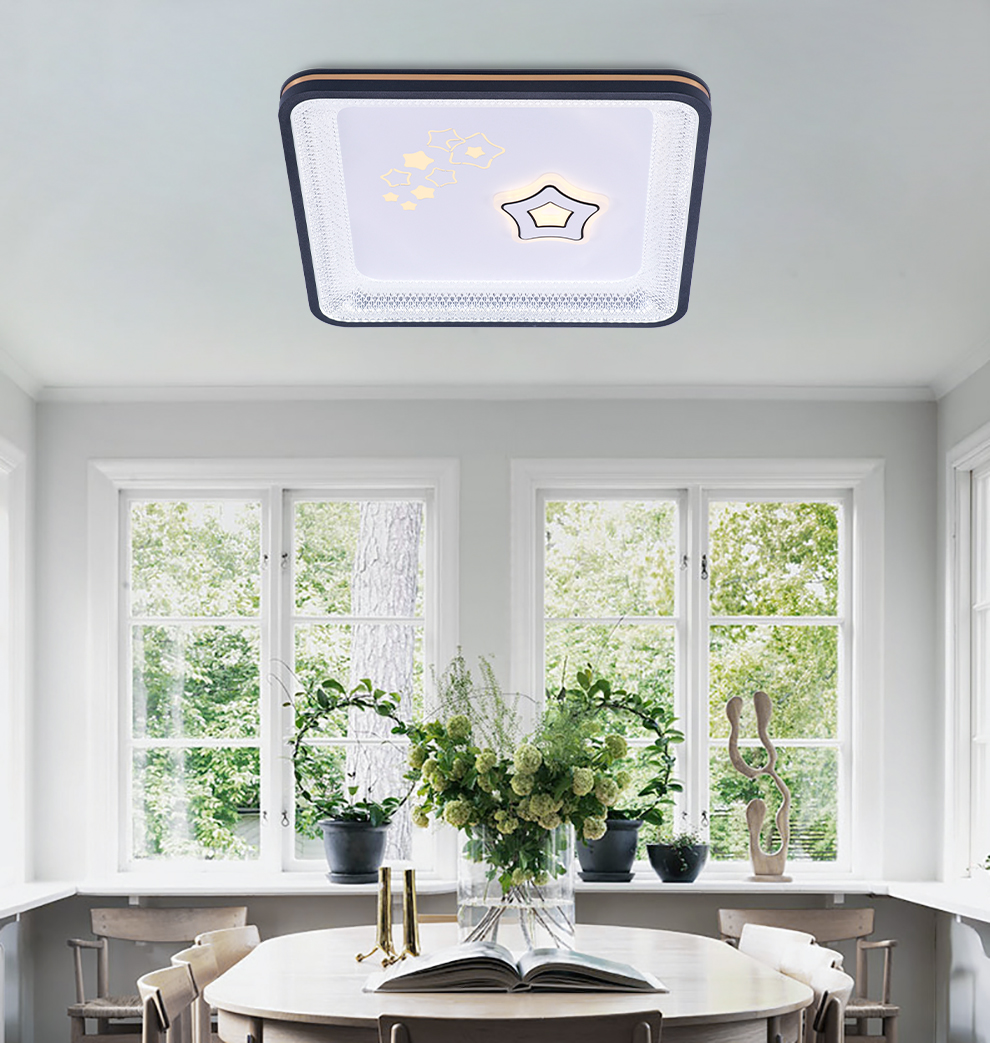 森之原照明 led卧室客厅吸顶灯厨卫过道走廊灯 节能吸顶灯饰北欧现代