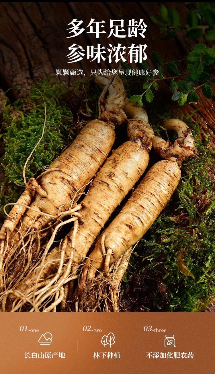伟博新鲜西洋参现挖大个西洋参整只新鲜带土高参龄非菲野人参花旗参每
