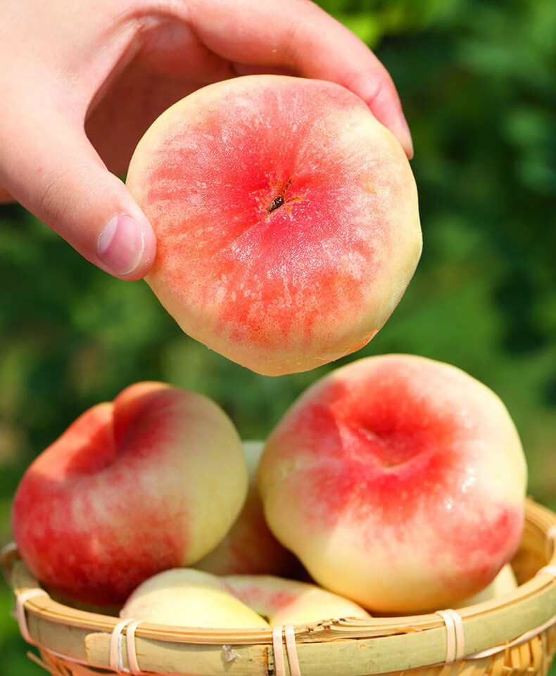 新疆和田土桃 5斤新疆蟠桃新鲜水果桃子扁桃大蟠桃 甜带箱5-5.