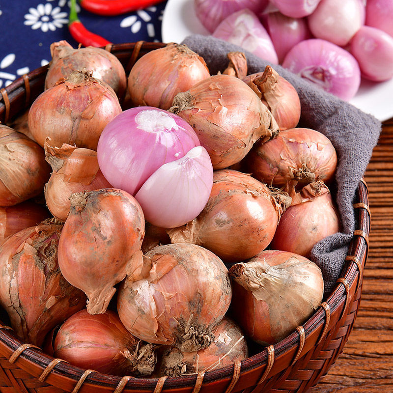 正宗东北新鲜毛葱农家毛葱鬼子葱小圆葱红头葱5斤精选小果毛葱