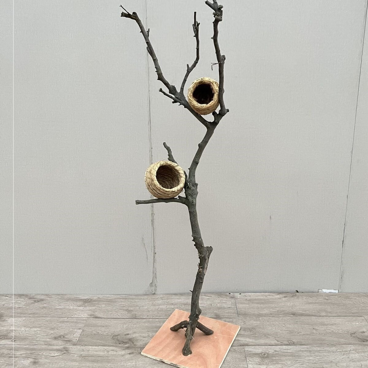 干树枝树杈艺术枯枝天然树枝灯架装饰树枝 鸟站架( 木桩 麻绳 树枝)1