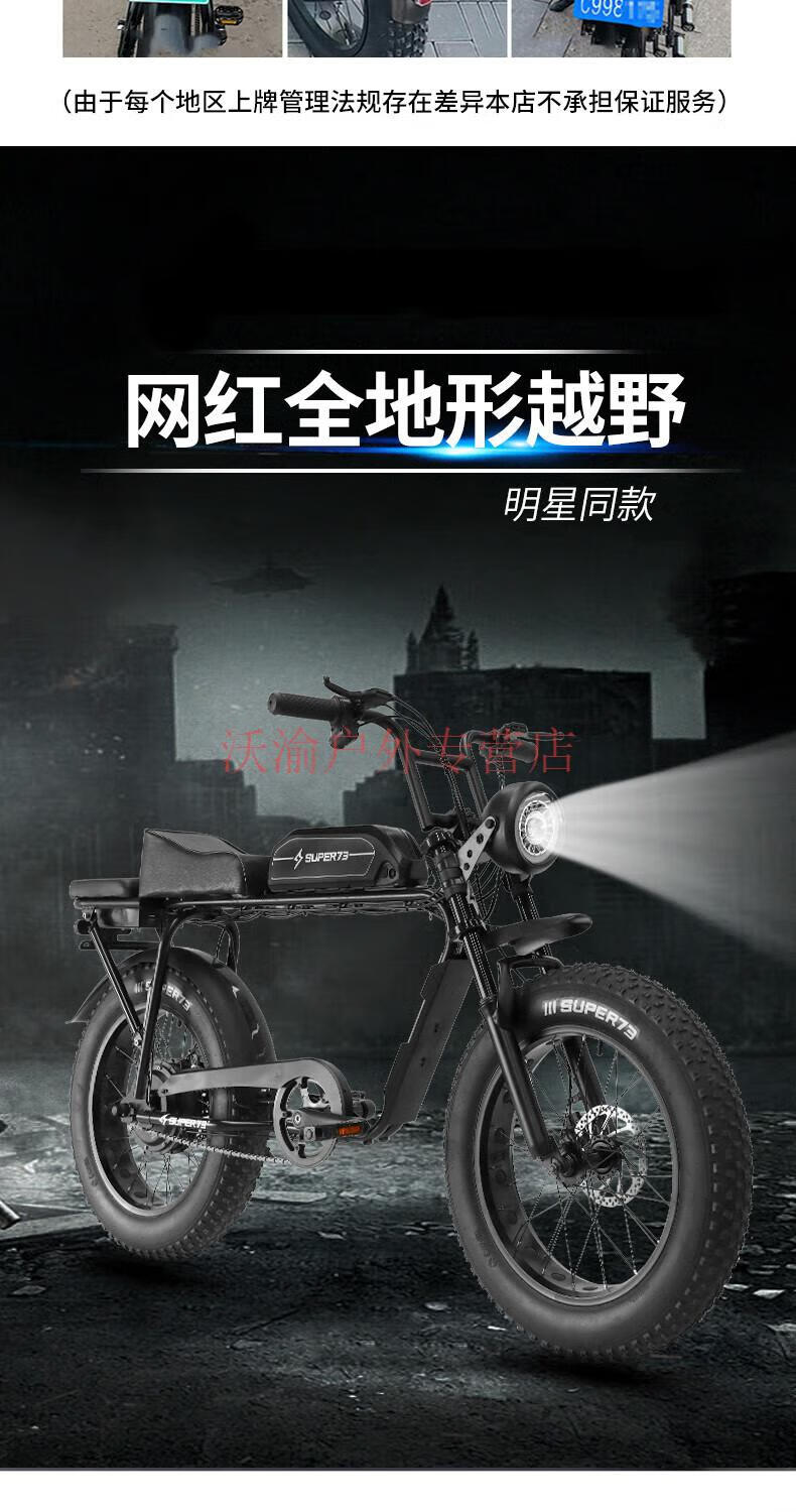 权志龙同款s1山地电动雪地助力车越野宽胎复古电动自行车 s1标配(鹦鹉