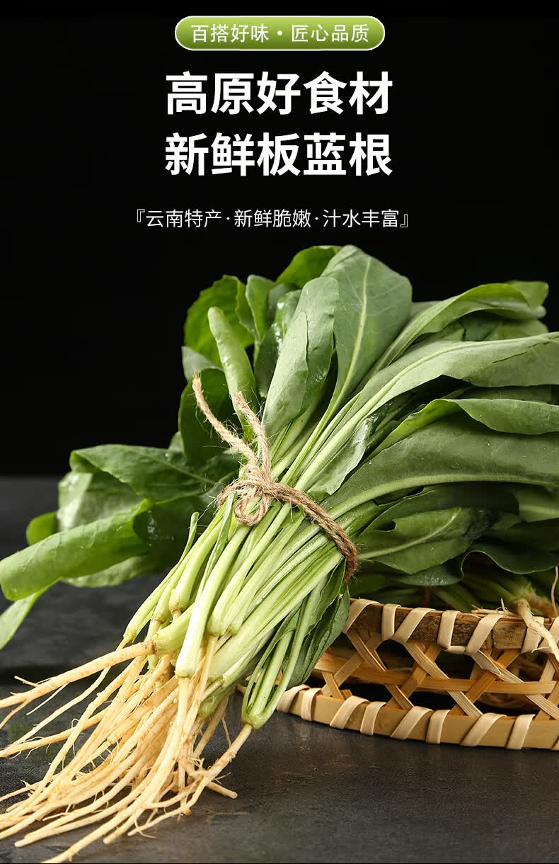 qefh【新鲜蔬菜板蓝根1斤装】新鲜蔬菜带根板蓝根叶云南当季时令蔬菜