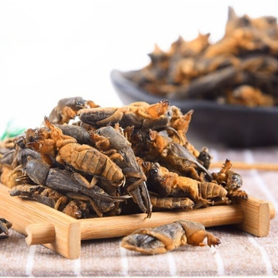 蝼蛄干中药材土狗子土狗地狗蝼蛄粉拉拉狗无杂质蝼蛄 20克蝼蛄干