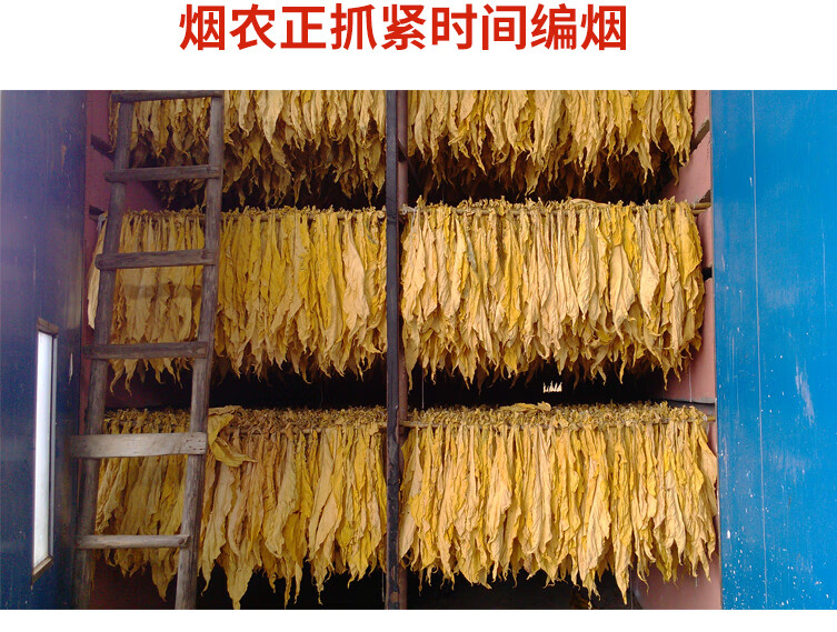 烤房宝烤烟房专用熏蒸剂促进烤烟加速转黄易烘烤提前转黄翻色好1套1瓶