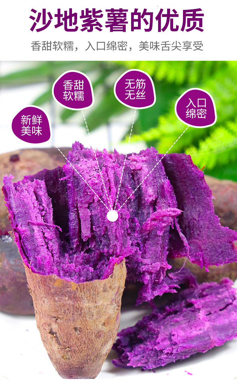 紫薯现挖紫心蜜薯红薯新鲜地瓜紫罗兰广西糯甜农家现挖 九斤中暑