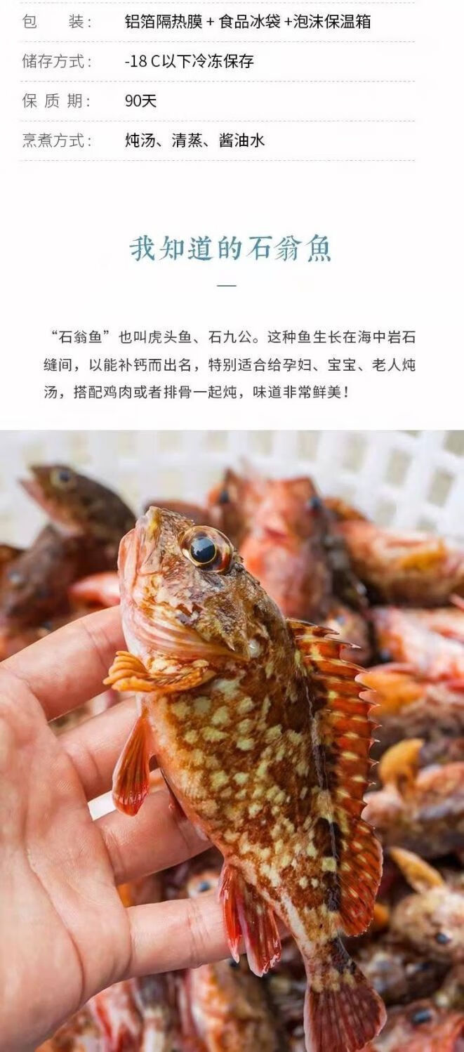 石九公鱼石翁鱼鲜活虎头鱼小红斑鱼石斑鱼鲜海鲜 买2斤加1斤码头直发