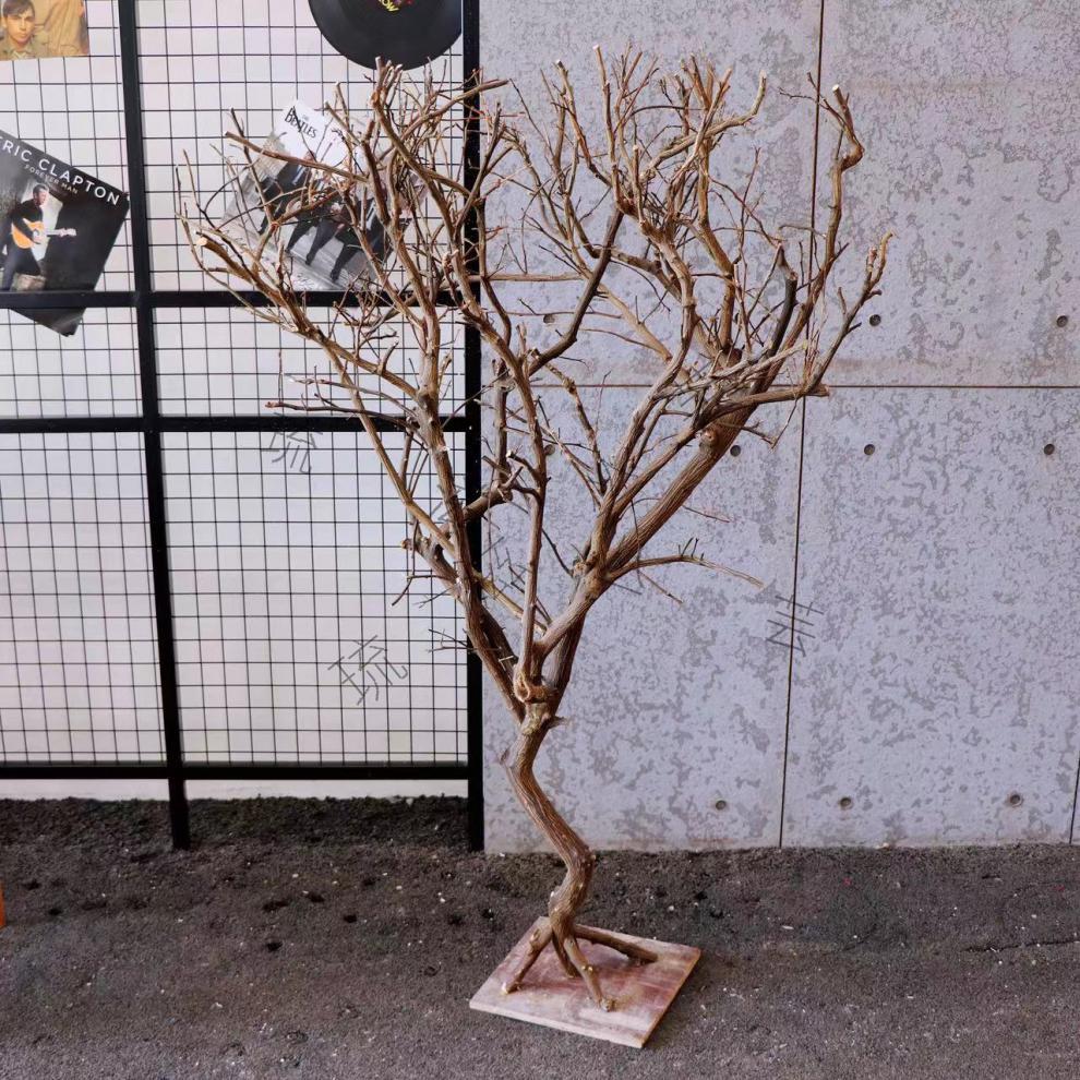 树枝装饰干枝树枝 干树枝造景干枝树干许愿树枯树室内庭院造型树枝干
