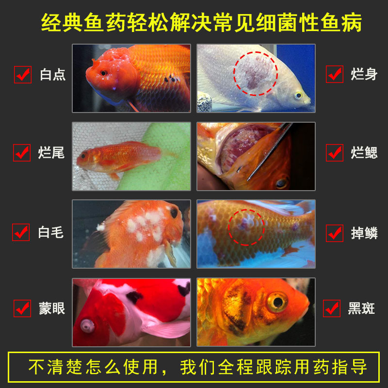 上野黄粉鱼药龙鱼锦鲤金鱼观赏鱼药烂身烂尾疾病治疗黄粉5袋稳定剂