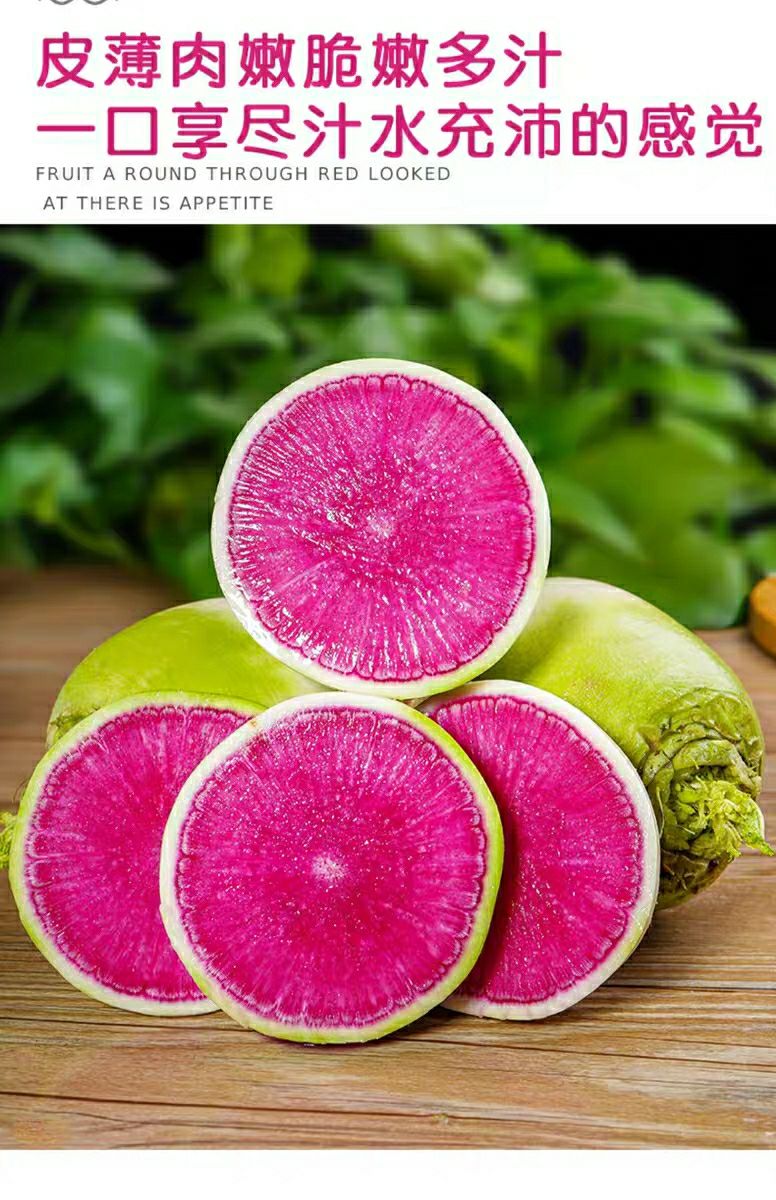 萝卜心里美萝卜新鲜满堂红萝卜雕刻萝卜青皮红心水果萝卜罗卜蔬菜