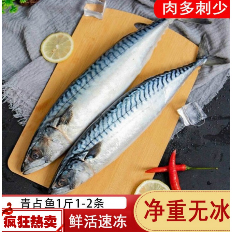 青魚鮁魚青佔魚新鮮鮁魚新鮮特大青花魚青條魚深海鮐鮁魚批發海鮮