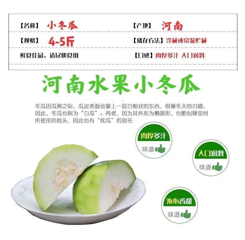 新鲜小冬瓜迷你水果冬瓜210斤批发冬瓜毛节瓜挂霜白冬瓜本地整个农户