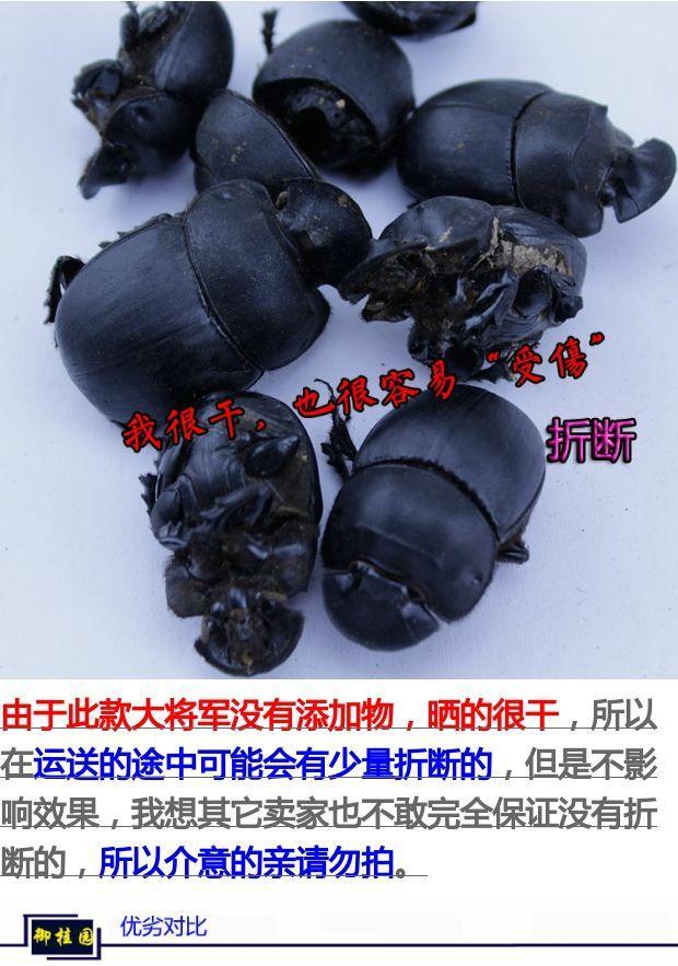 10040484635587商品名称:新货 大将军 屎壳郎 蜣螂虫 推粪虫 中药材